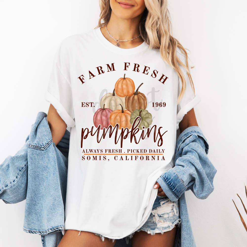 Farm Fresh Pumpkins Canva Template
