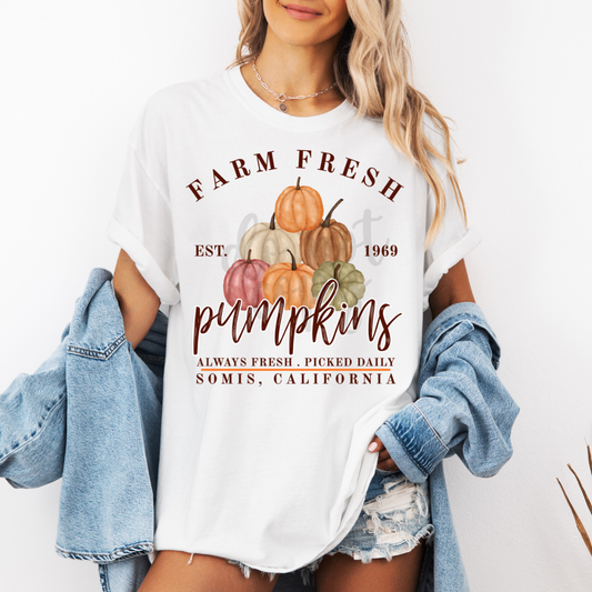 Farm Fresh Pumpkins Canva Template