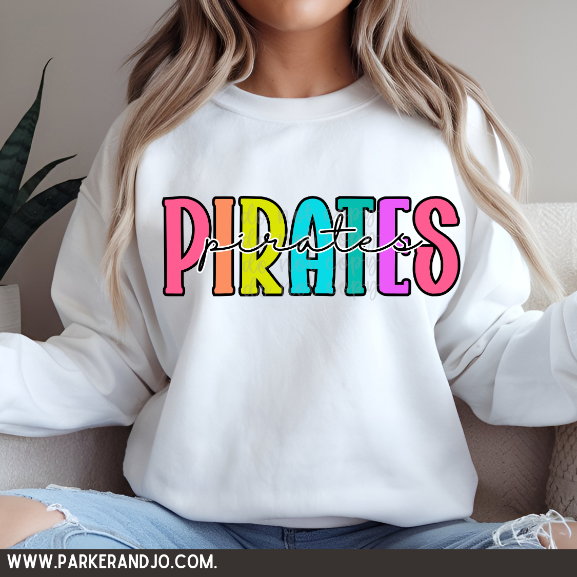Pirates colorful png