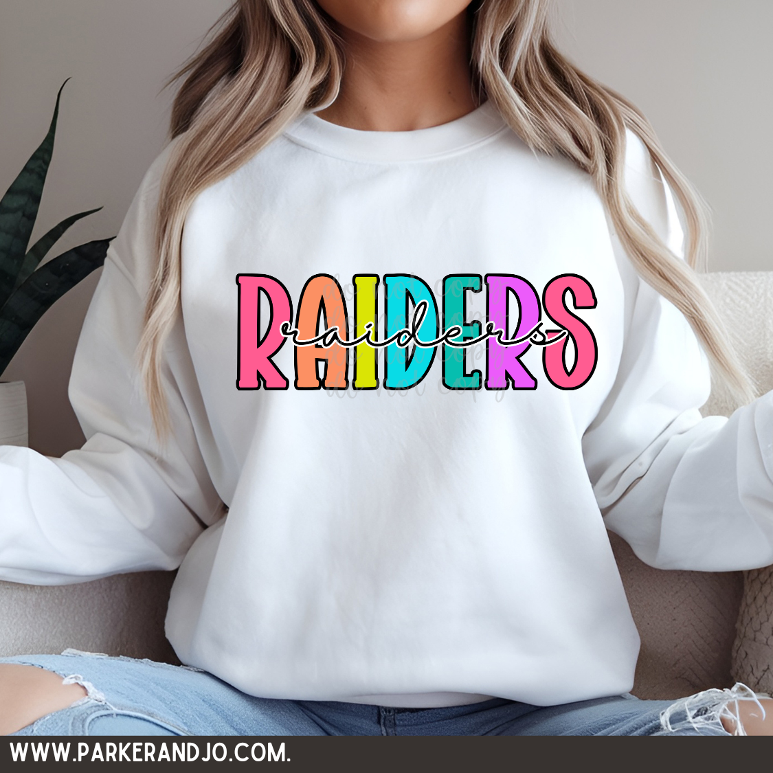 Raiders colorful png