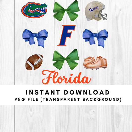 Florida Gators Trendy Coquette Bow Football PNG File