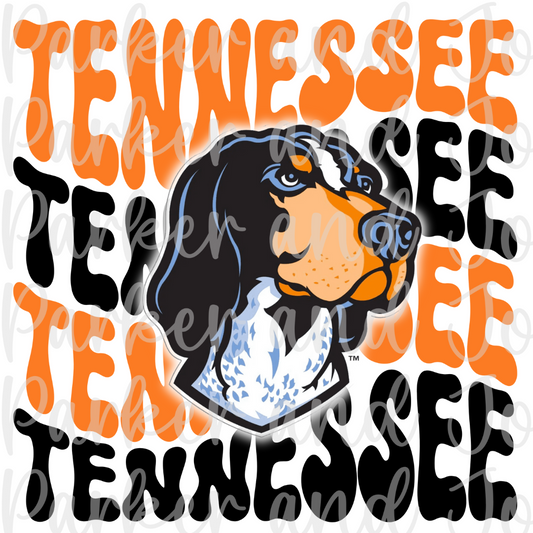 Tennessee Vols PNG File