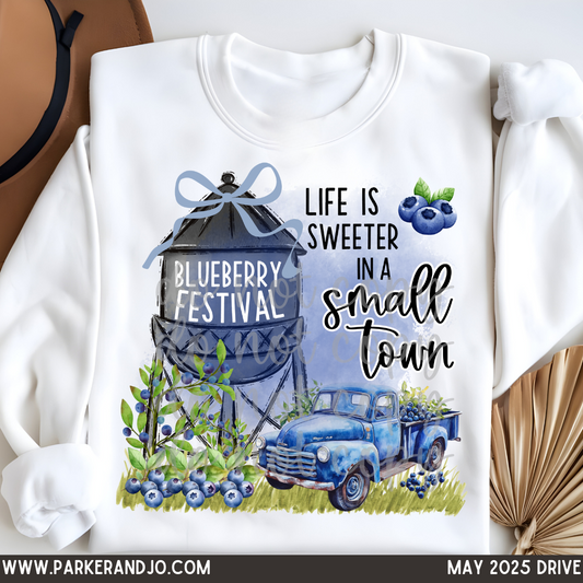 Blueberry Festival png