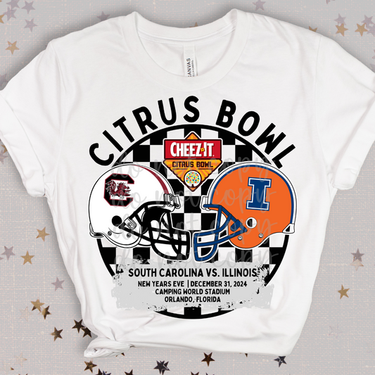 Citrus Bowl PNG