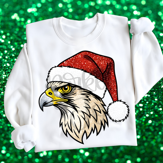 Falcon Santa Mascot png