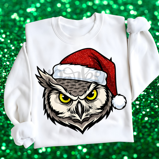 Santa Owl Mascot png